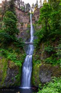 Multnoma Falls-3954.jpg